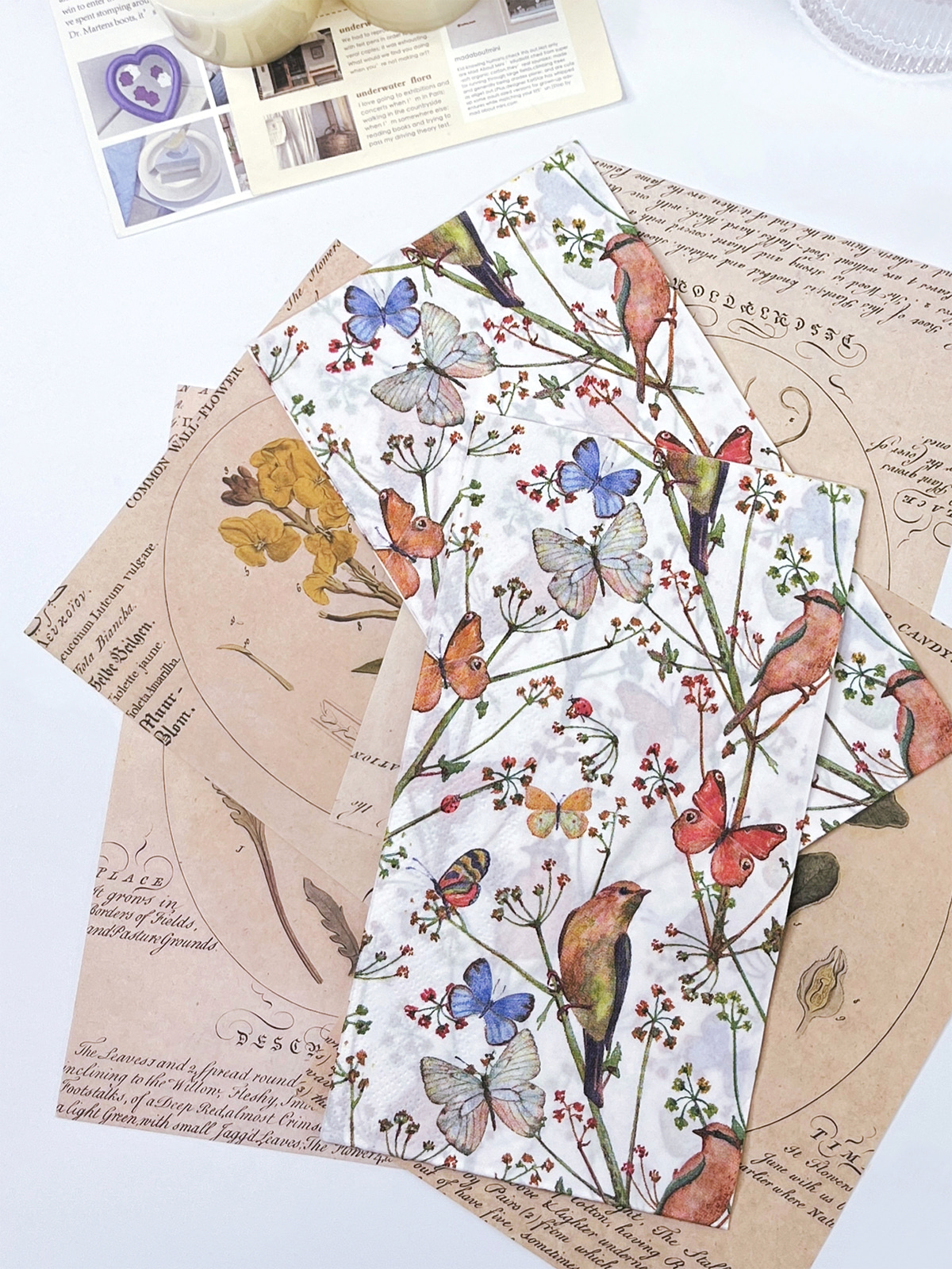 Bird And Butterfly Paper Napkins Flower Printing Decorative Paper Guest Towels